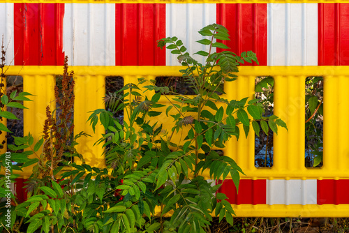 Vibrant intersection of nature and urban barriers brings life to a drab landscape