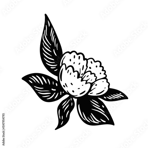 Elegant and Beautiful Floral Design Featuring Leaves and Petals in a Unique Style