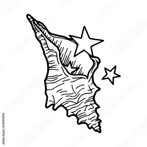 conch shell with stars outline