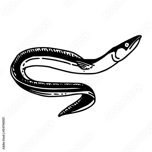 stylish eel fish vector illustration