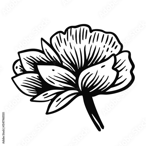 This is a beautifully stylized illustration of a flower showcasing artistic elements