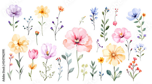 seamless background with flowers, Set watrecolor floral background with flowers
