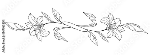 flower and leaves drawing. Vector hand drawn engraved floral card. Botanical, branch and flower Black ink sketch. Great for tattoo, invitations, greeting cards, decor