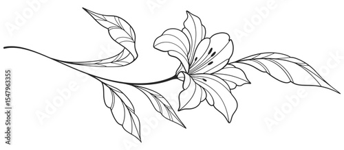 flower and leaves drawing. Vector hand drawn engraved floral card. Botanical, branch and flower Black ink sketch. Great for tattoo, invitations, greeting cards, decor