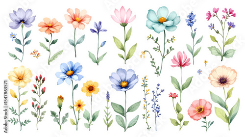 Set watrecolor floral background with flowers