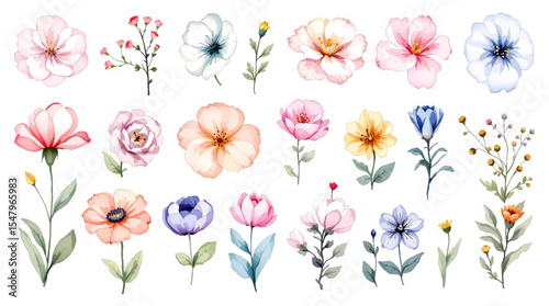 Set of watercolor flowers, set of flowers clipart