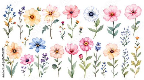 Set of watercolor flowers, set of flowers clipart