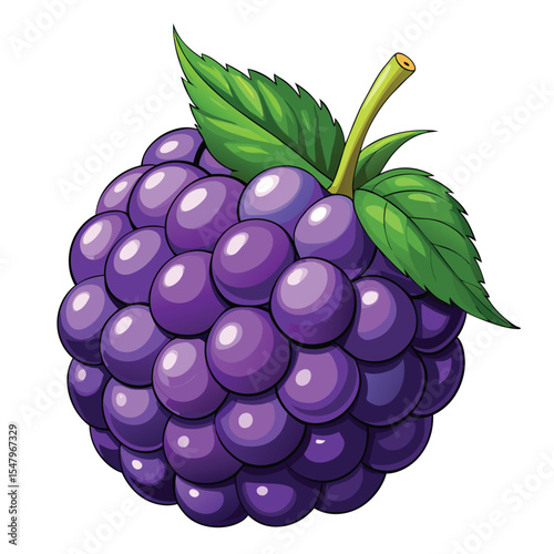 Fresh Juicy Blackberry Isolated on White Background - Vector Illustration
