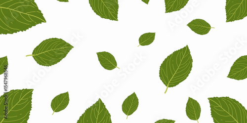 Green leaf pattern background with unique characteristics on white canvas can be used for banner decoration, home displays, poster decoration and furniture business decoration.