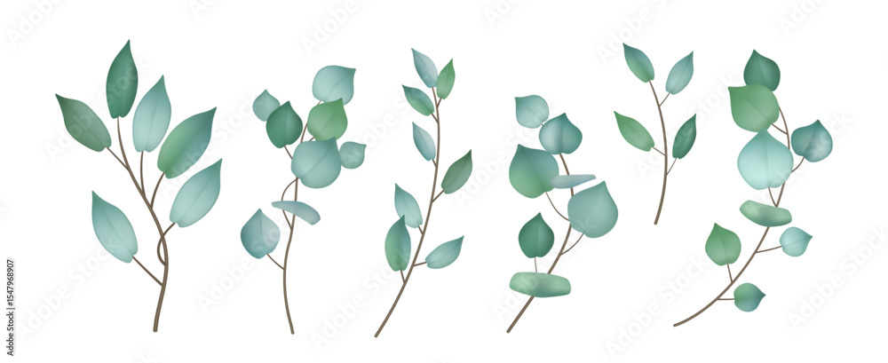 Obraz premium Floral set with green eucalyptus leaves. Set of eucalyptus branches for design of cards, wedding invitations
