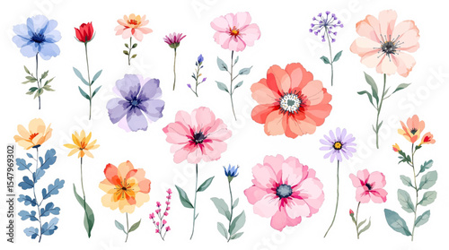 Spring  Set flowers watrecolor clipart on withe background