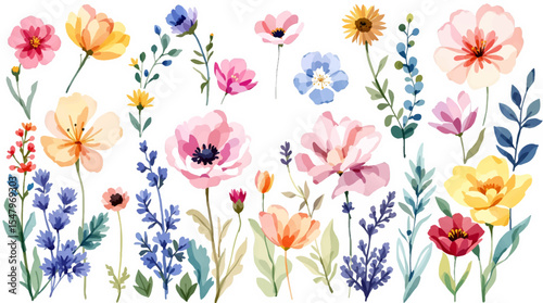 Spring  Set flowers watrecolor clipart on withe background