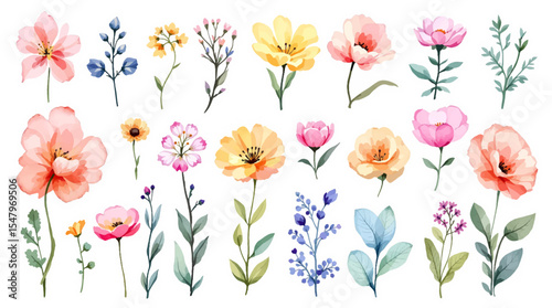 Spring  Set flowers watrecolor clipart on withe background