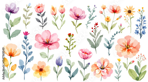 Spring  Set flowers watrecolor clipart on withe background
