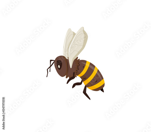 Bee flying icon. Bee isolated on the white background. Queen Honey Bee Design Template. Insect