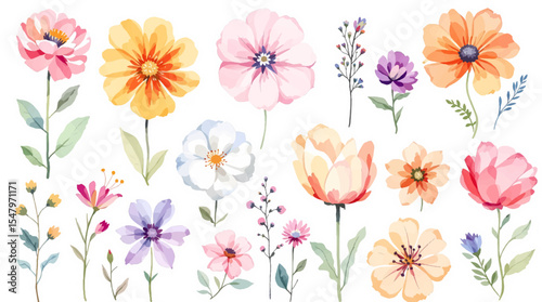 Spring  watercolor flowers vector illustration, Colorful spring flowers, Set of watercolor flowers, Clipart watercolor flowers	