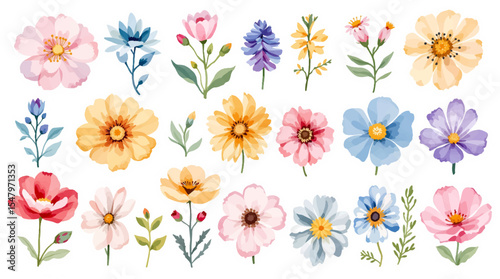 Spring  watercolor flowers vector illustration, Colorful spring flowers, Set of watercolor flowers, Clipart watercolor flowers	