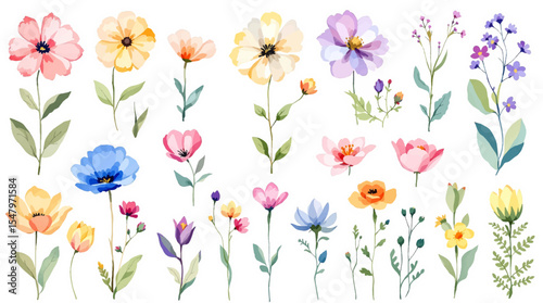 Spring  watercolor flowers vector illustration, Colorful spring flowers, Set of watercolor flowers, Clipart watercolor flowers	