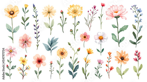Colorful spring flowers, Set of watercolor flowers, Clipart watercolor flowers	