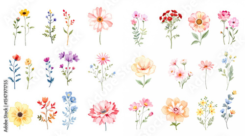 Colorful spring flowers, Set of watercolor flowers, Clipart watercolor flowers	