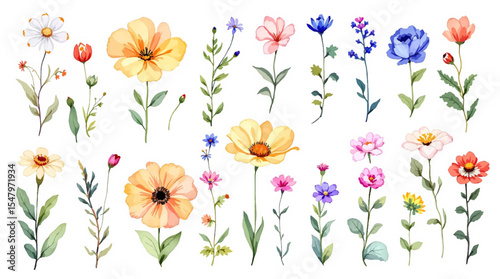 Colorful spring flowers, Set of watercolor flowers, Clipart watercolor flowers	