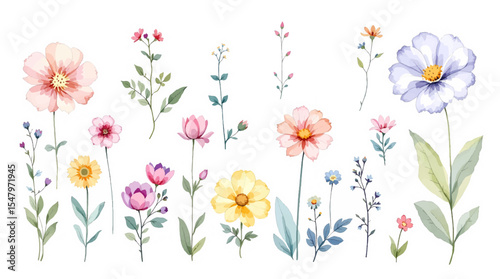 Colorful spring flowers, Set of watercolor flowers, Clipart watercolor flowers	