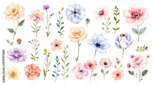 Colorful spring flowers, Set of watercolor flowers, Clipart watercolor flowers	