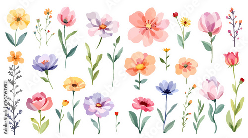Colorful spring flowers, Set of watercolor flowers, Clipart watercolor flowers	