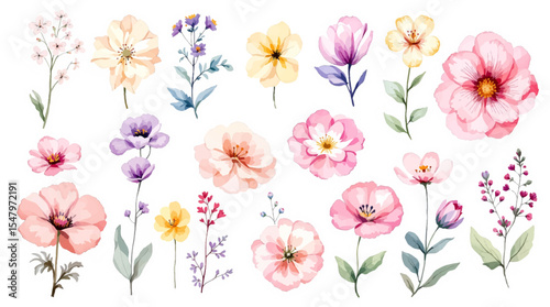 Colorful spring flowers, Set of watercolor flowers, Clipart watercolor flowers	