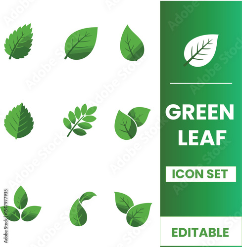  Illustration Collection of green leaf icons natural, eco, vegan, bio labels. Vector illustration EPS