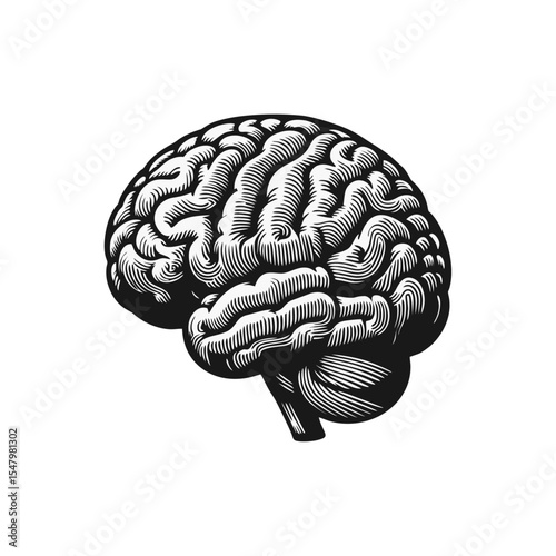 Brain Anatomical engrave illustration logo icon design