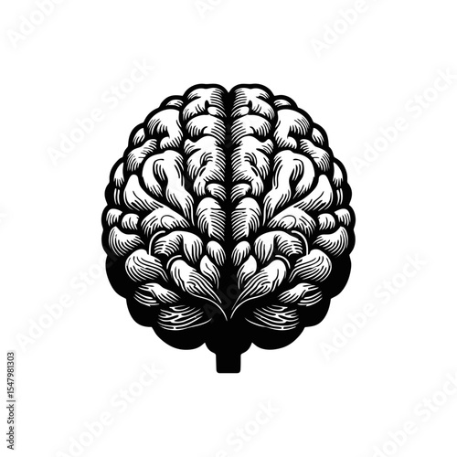 Brain Anatomical engrave illustration logo icon design