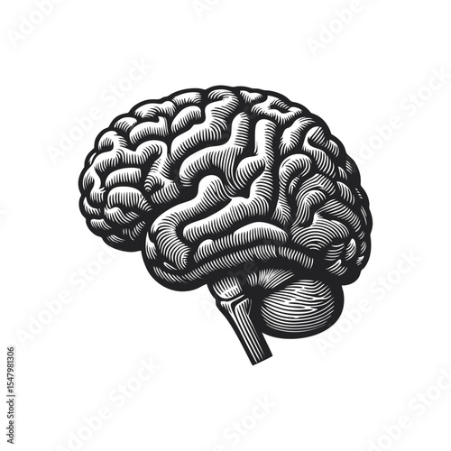 Brain Anatomical engrave illustration logo icon design