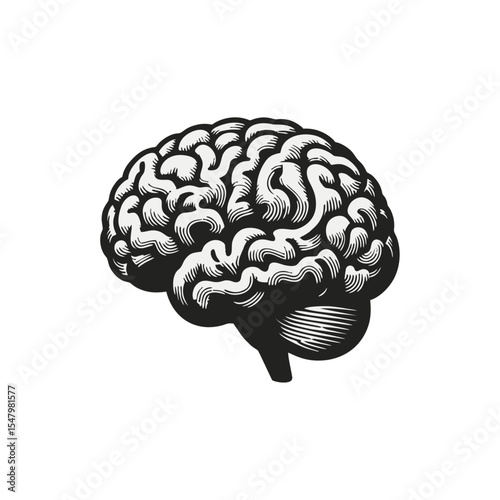 Brain Anatomical engrave illustration logo icon design
