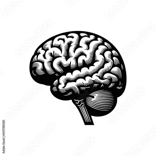 Brain Anatomical engrave illustration logo icon design
