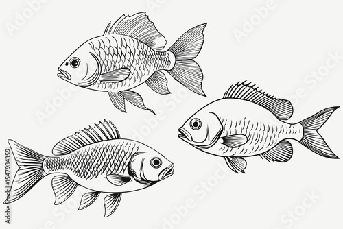fish set sketch illustration vector