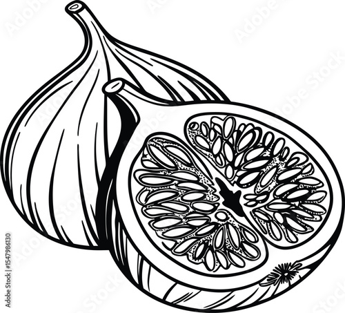 Vector illustration sketch of apple lemon orange fruit