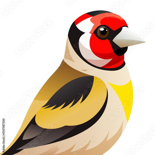 Siberian Goldfinch Vector Illustration – Red-Faced Finch with Pale Plumage