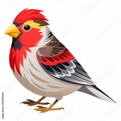 Siberian Goldfinch Vector Illustration – Bird with Frosty Plumage and Bold Markings