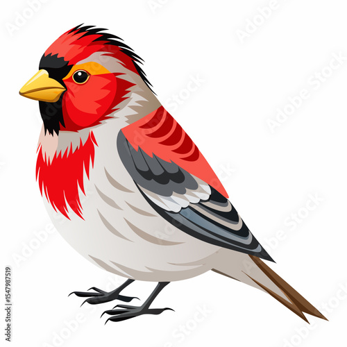 Vector Illustration of Siberian Subspecies Goldfinch – Red Head and Light Body
