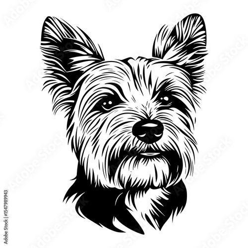 Yorkshire terrier face linear art illustration drawing vector
