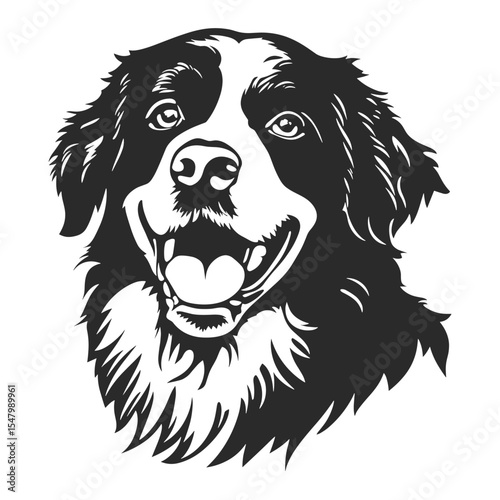 Bernese mountain face linear illustration silhouette animal vector