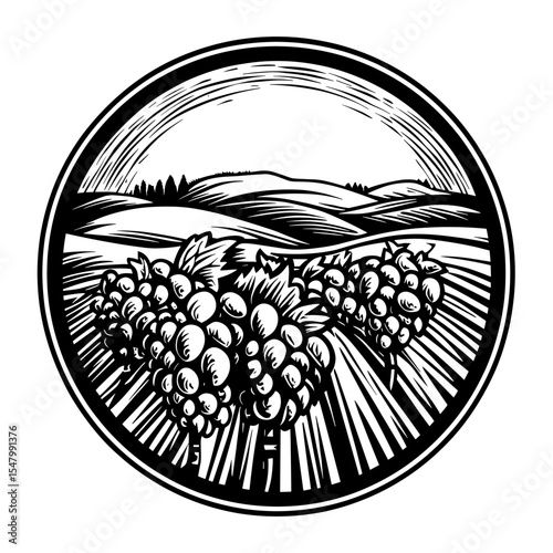 Vineyard illustration vineyard black vector