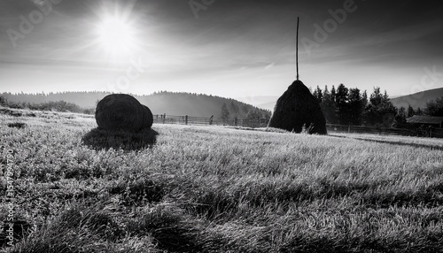 hay black and white rustic landscape with hayrick and bale in backlight