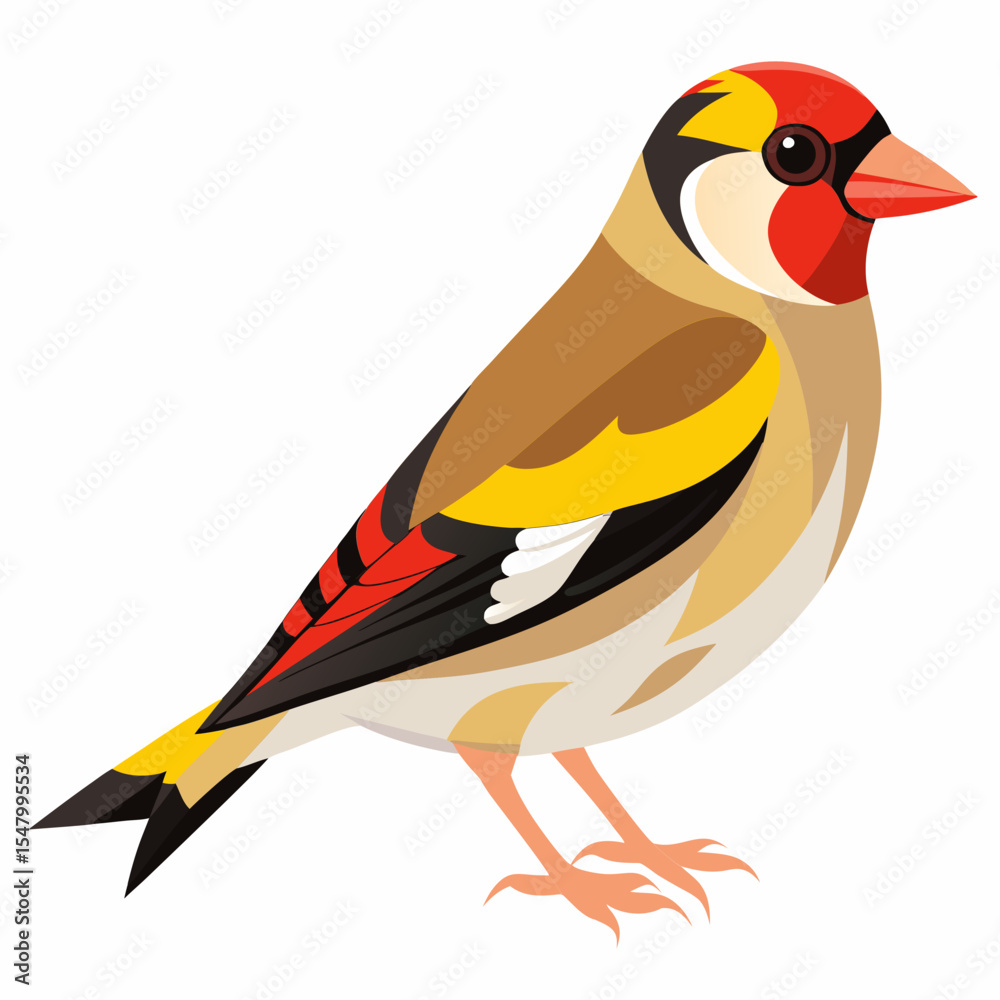 Fototapeta premium Vector Illustration of Small Goldfinch – Bright Colors and Shorter Wings