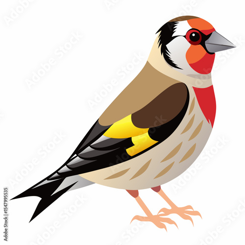 Small-Sized Goldfinch Vector Illustration – Red Head and Yellow Wing Pet Bird