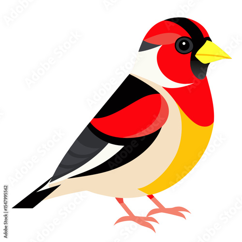 Carduelis Parva Vector Illustration – Petite Subspecies of European Goldfinch Drawing