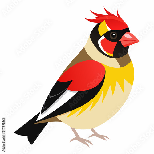 Carduelis carduelis parva Vector Illustration – Short-Beaked and Tiny Finch