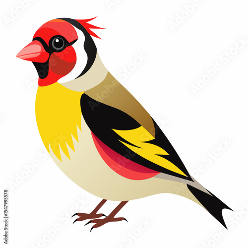 Small European Goldfinch Vector Illustration – Red-Faced Finch with Compact Body