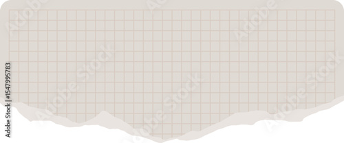 Torn piece of graph paper